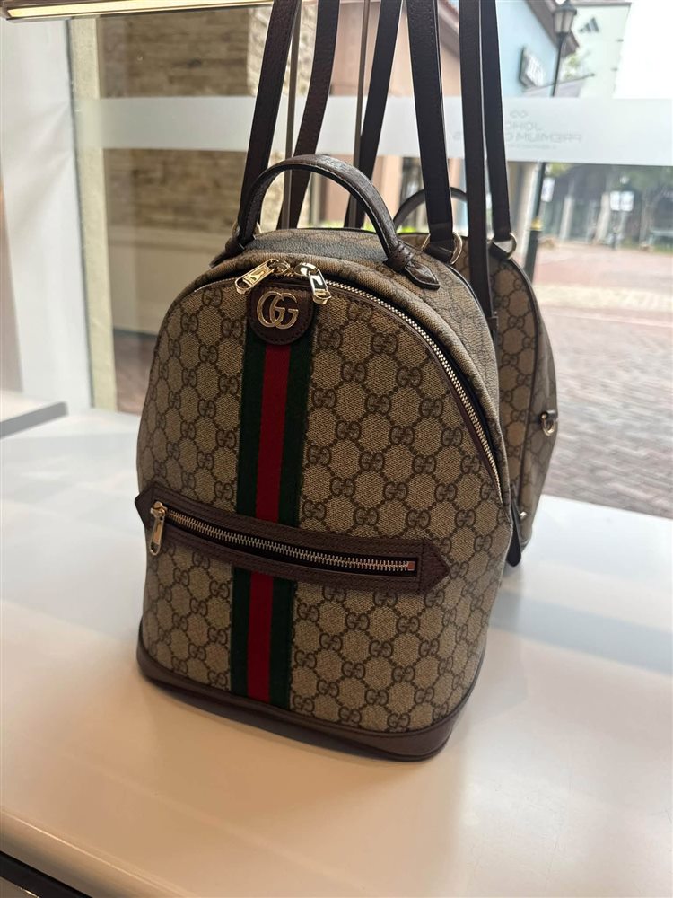 Gucci Ophidia backpack